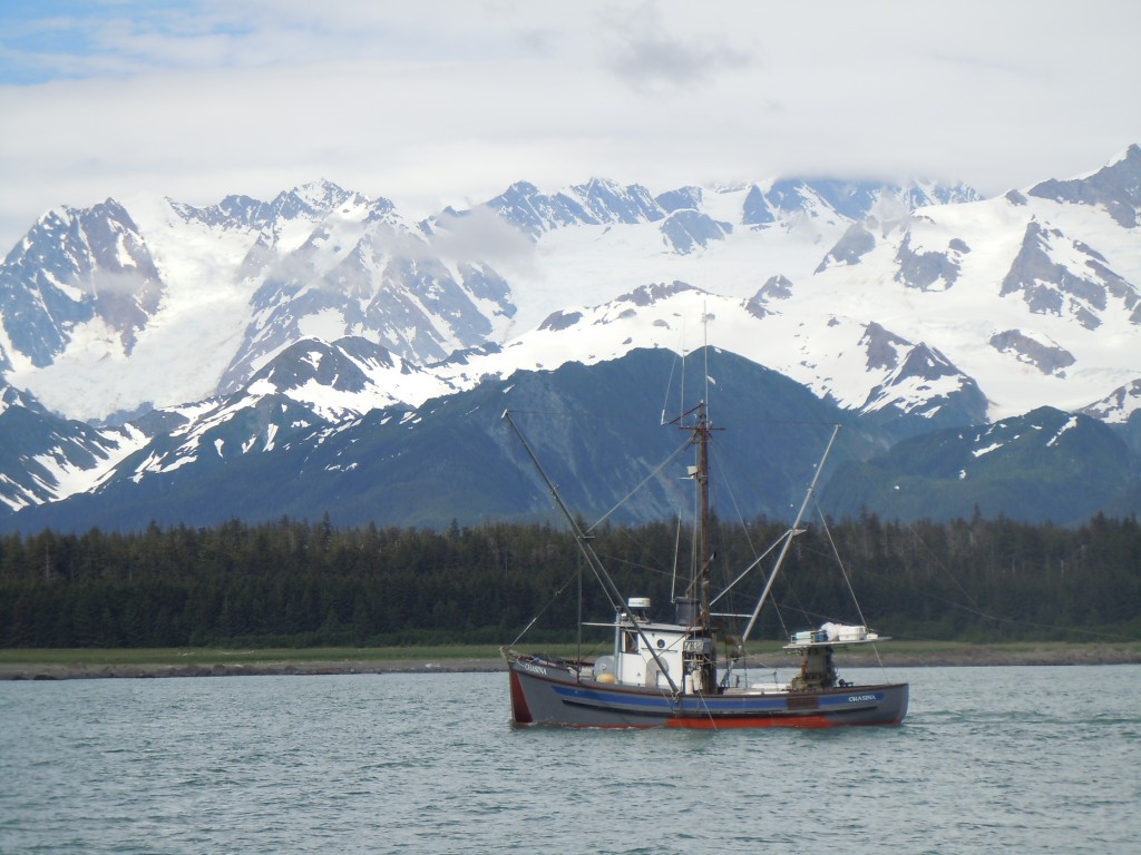 fv-chasina-salmon-trolling-fairweather-range-july-2012