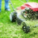 Crisis Behind a Mower
