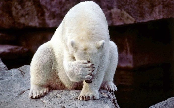 1789f8c04b6f7dc8b08cfea9d52c71c7