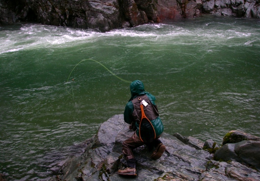 rainfishing