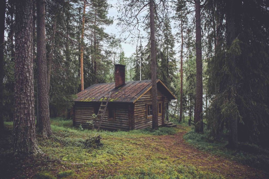 Cabin-in-the-woods copy