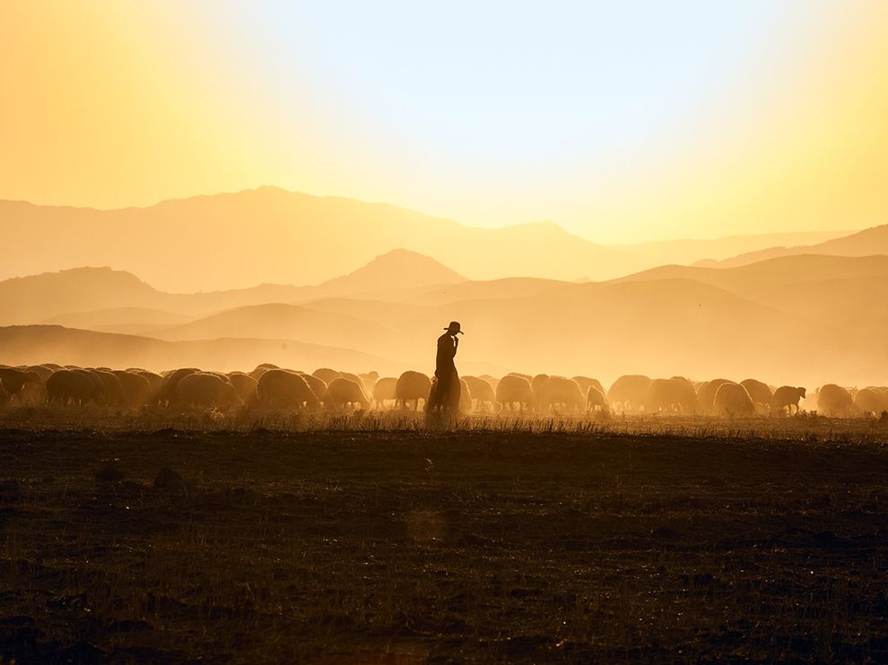 our-good-shepherd
