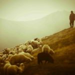 What Should You Expect from Your Pastor