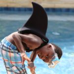 Be the Shark