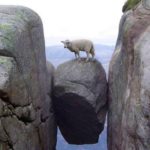 When You’re Between a Rock and a How