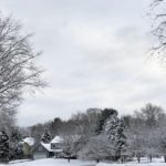 The Slushy Mess